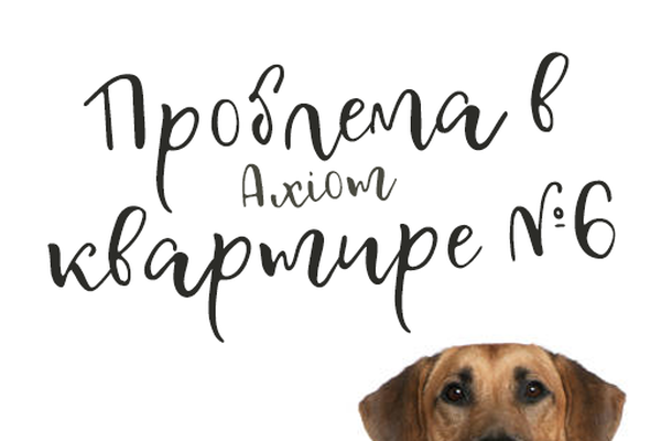 Проблема в квартире №6