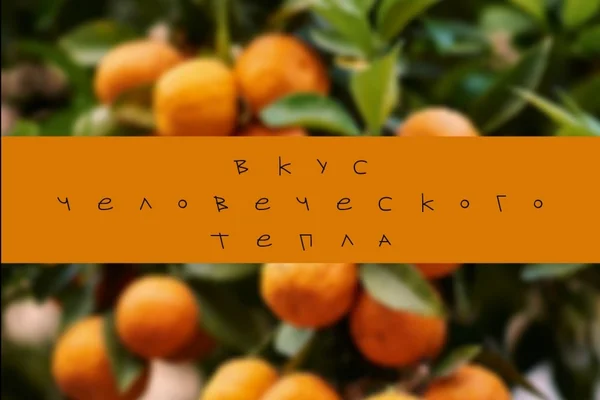 Вкус человеческого тепла