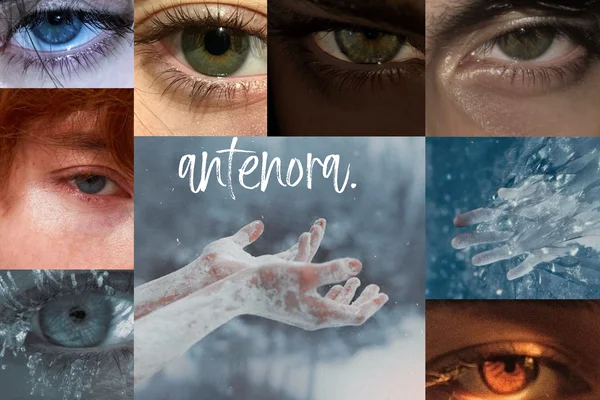 il nono cerchio | antenora.