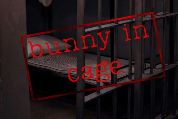 Bunny in cage