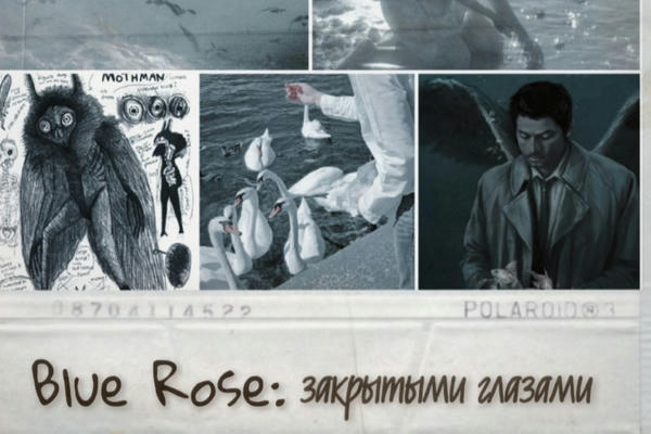 Blue Rose: Закрытыми глазами.