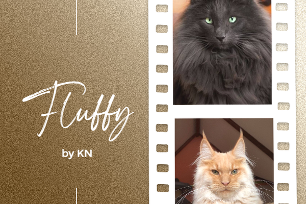 Fluffy | Пушистые