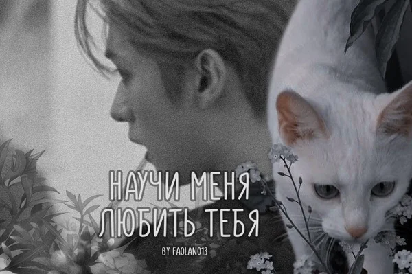 Научи меня любить тебя