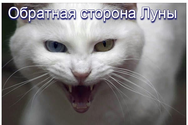 Обратная сторона Луны