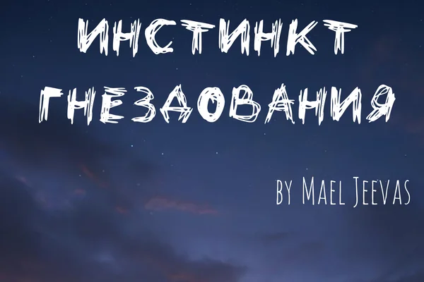 Инстинкт гнездования