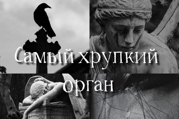 Самый хрупкий орган