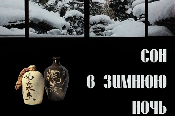 сон в зимнюю ночь