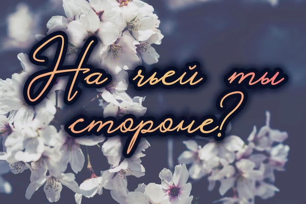 На чьей ты стороне?