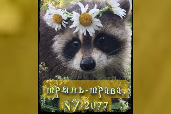 Трынь-Трава, NY-2077