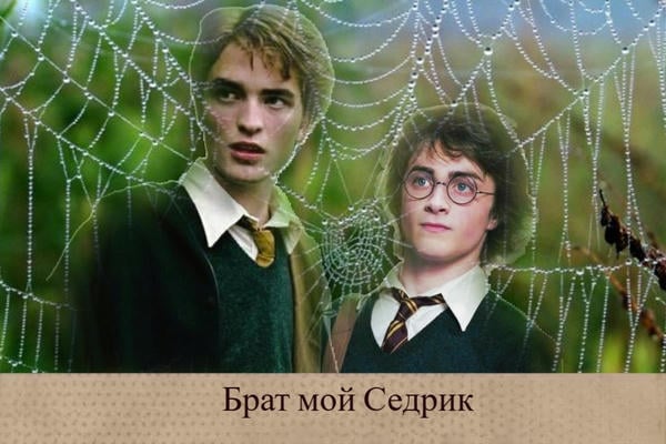 Брат мой Седрик