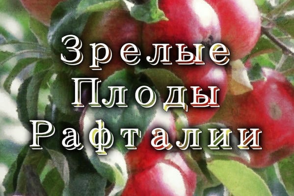 Зрелые Плоды Рафталии