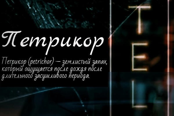 Петрикор