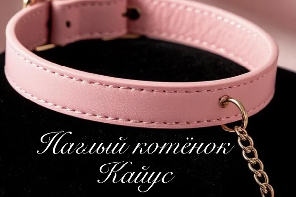 Наглый котёнок Кайус