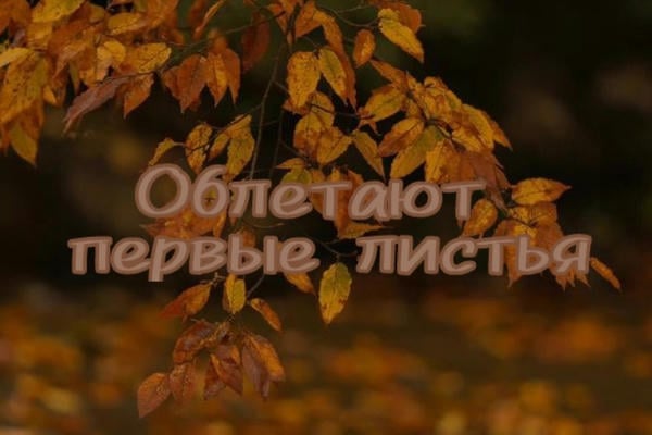 Облетают первые листья
