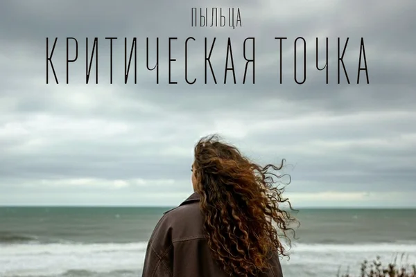Критическая точка