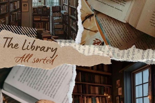 Domestic Harmonies 4: The Library (All Sorted)/Домашняя гармония 4: Библиотека (Всё по полочкам)