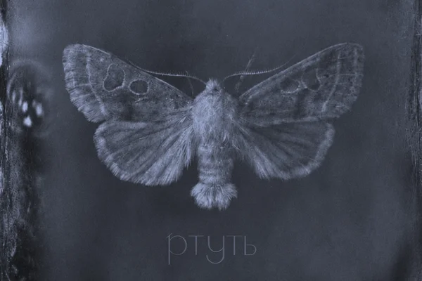 Ртуть