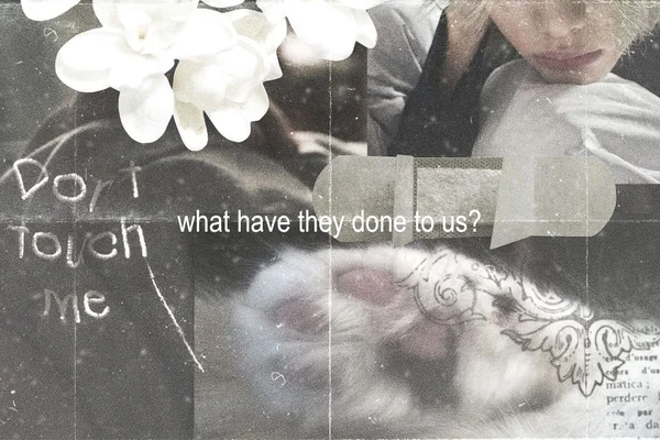 what have they done to us?