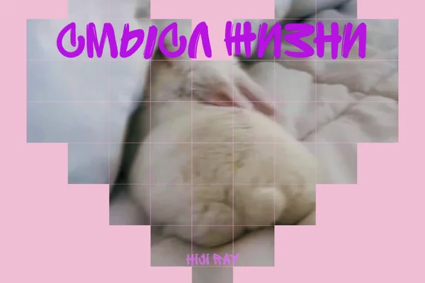 смысл жизни