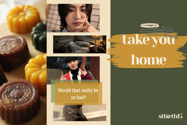 take you home