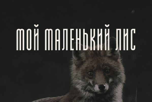 Мой маленький лис
