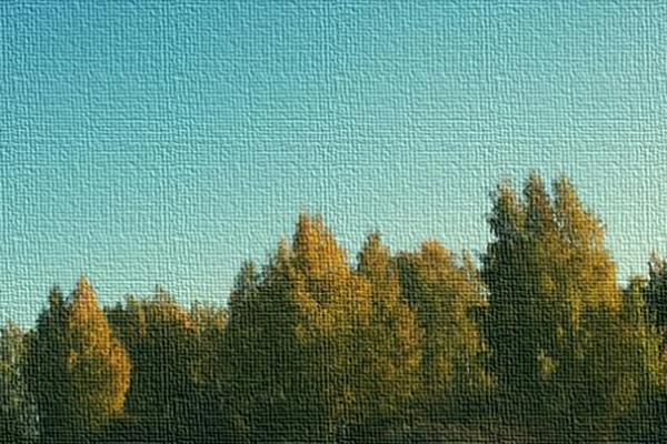 Дорогая жизнь