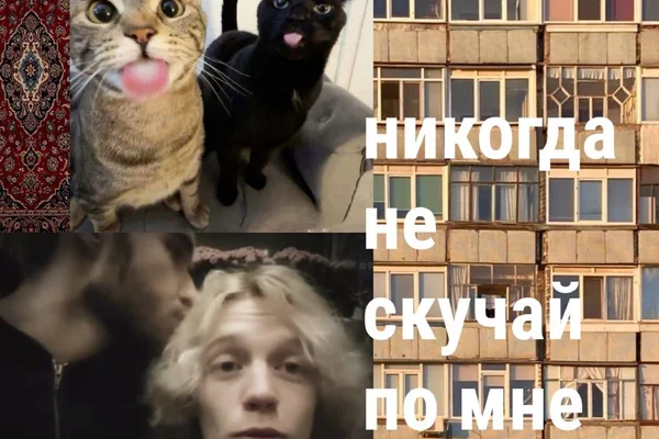 Никогда не скучай по мне