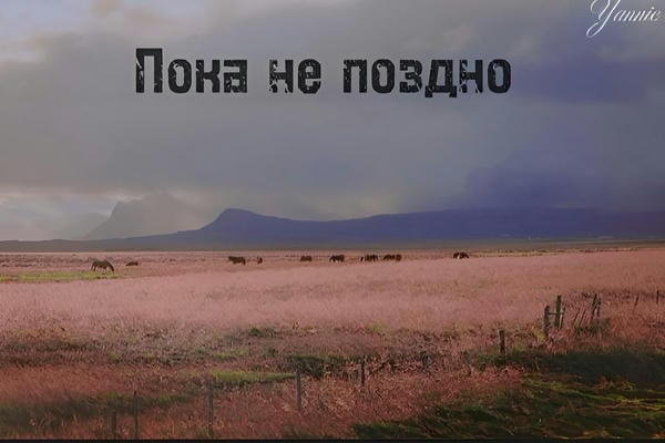 Пока не поздно