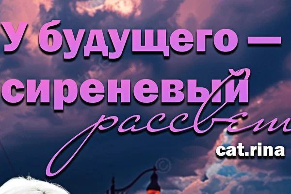 У будущего — сиреневый рассвет