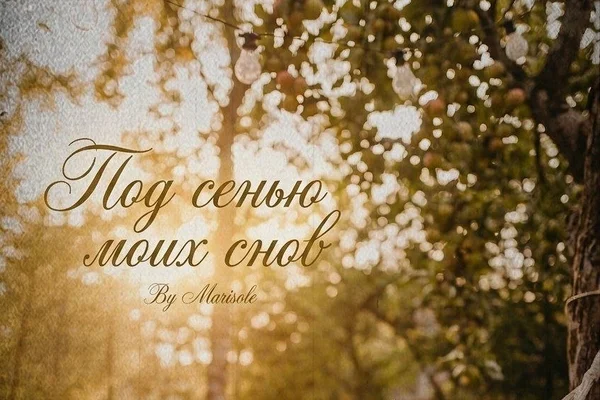 Под сенью моих снов