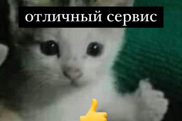 Штирлиц никогда не был так близок к провалу 