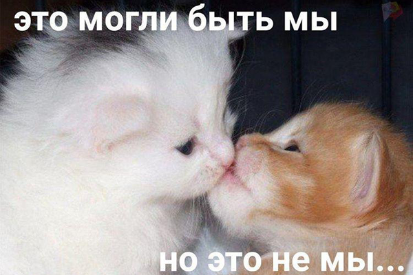 друзья