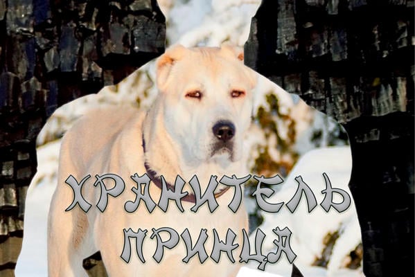 Хранитель принца