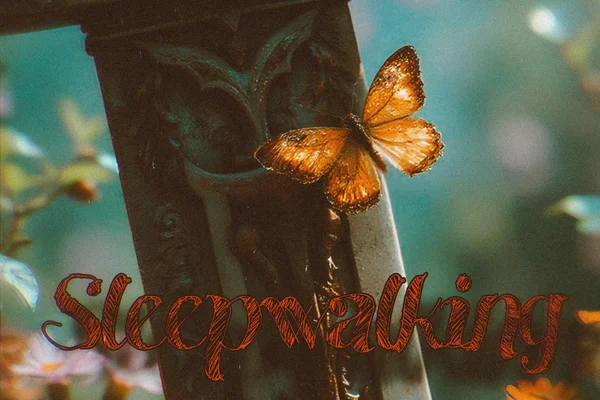 Sleepwalking