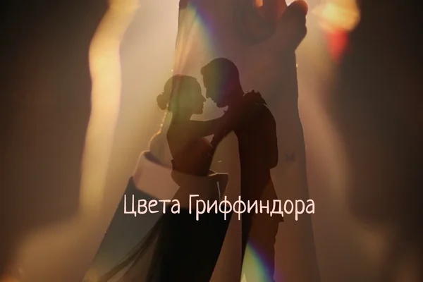 Цвета Гриффиндора