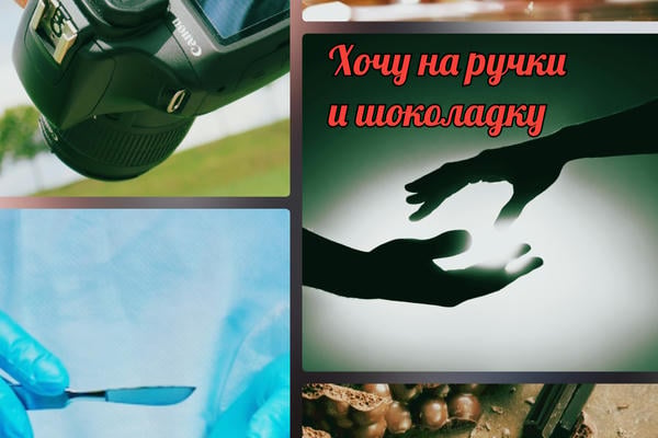 Хочу на ручки и шоколадку
