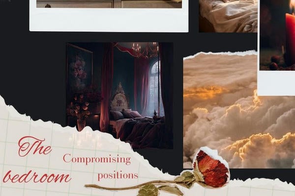 Domestic Harmonies 7: The Bedroom (Compromising Positions)/Домашняя гармония 7: Спальня (Компромиссное положение)