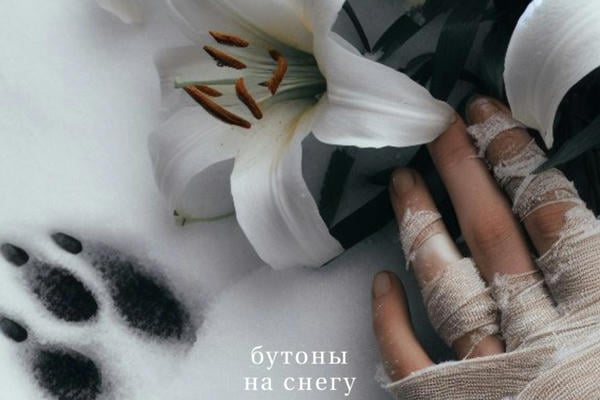 бутоны на снегу