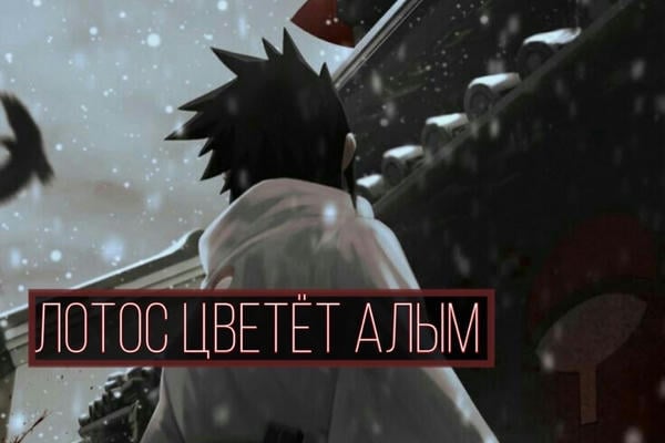 Лотос цветет алым