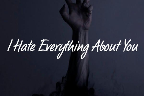 I Hate Everything About You / Я ненавижу в тебе абсолютно всё
