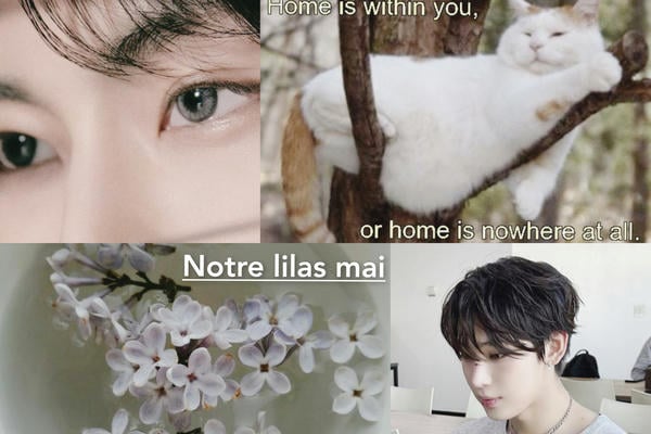 Notre lilas mai