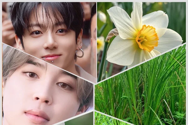 Vetiver and Narcissus
