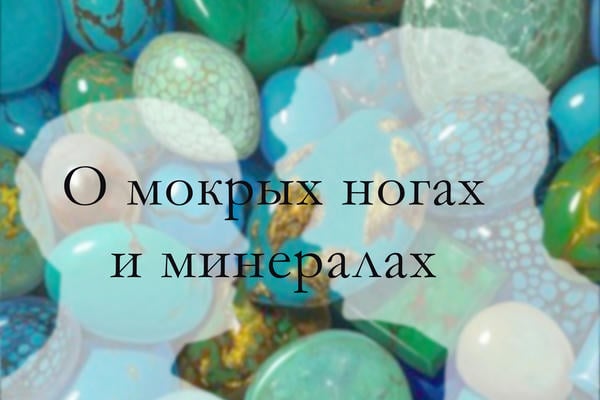 О мокрых ногах и минералах