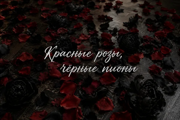 Красные розы, чёрные пионы
