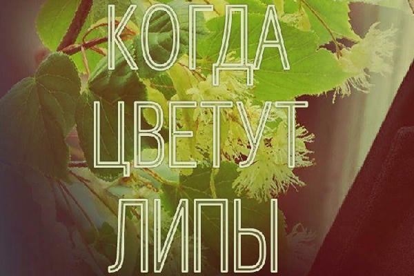 Когда цветут липы
