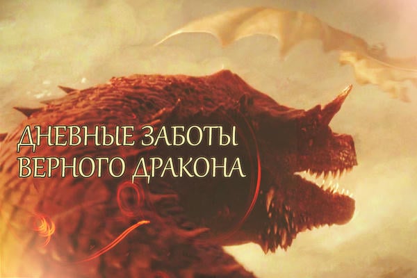 Дневные заботы верного дракона