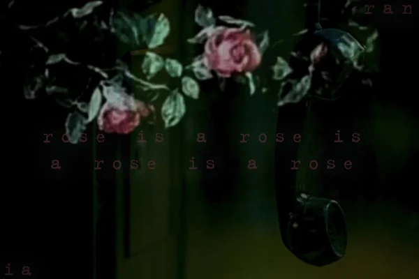 rose is a rose is a rose is a rose.