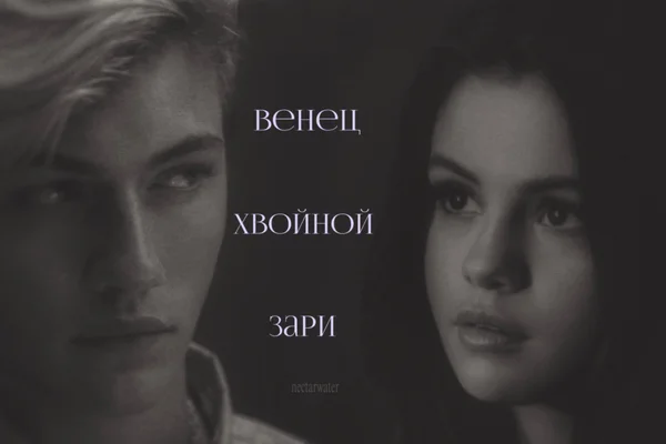 венец хвойной зари.