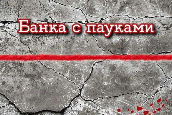 Банка с пауками