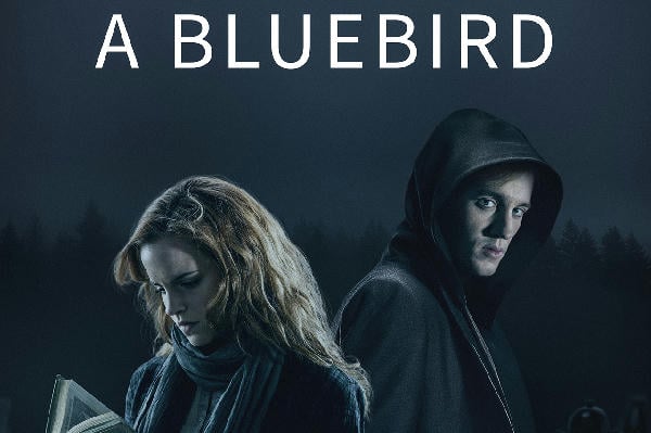 A Bluebird 